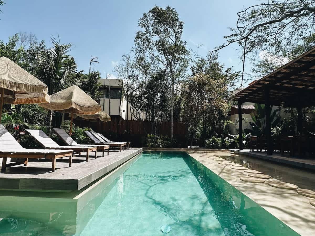 Bambu Con Alberca Privada En Tulum